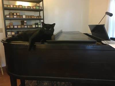 Clyde lounging on the piano