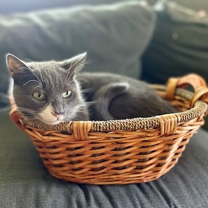 Flip in a basket