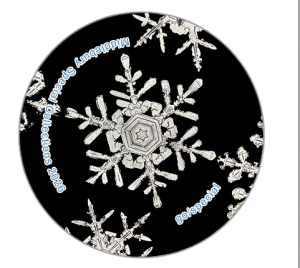 photograph plate of snowflake on black background by Wilson "Snowflake" Bentley