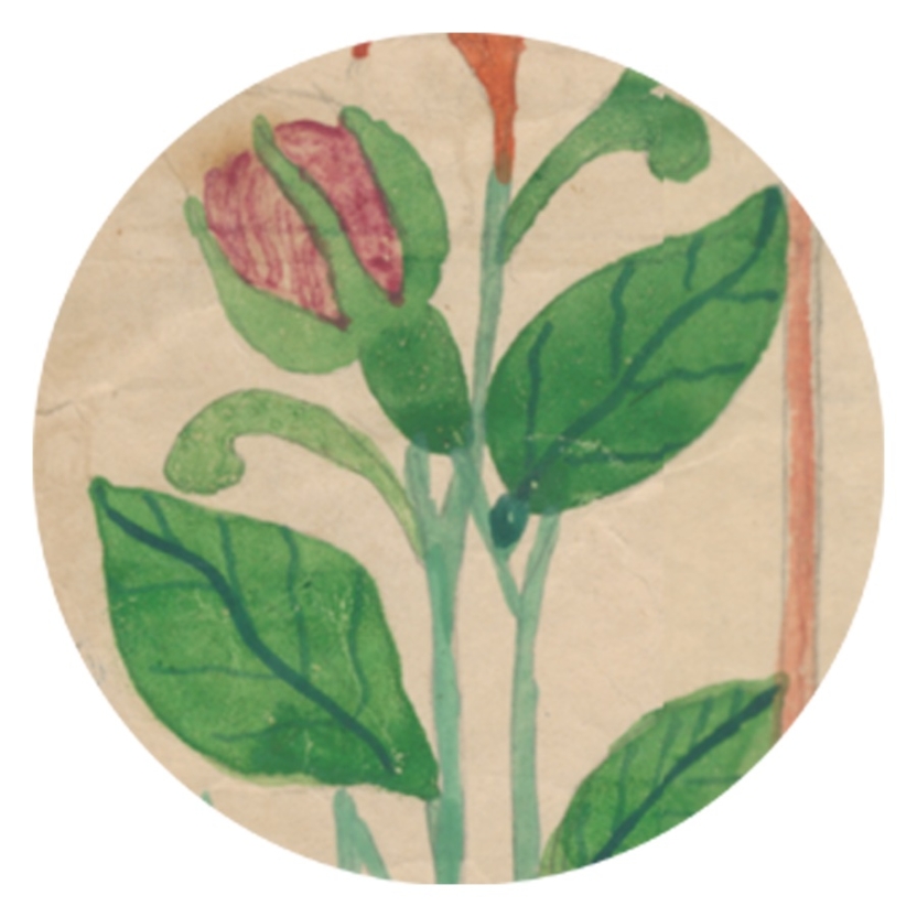 hand-painted flower