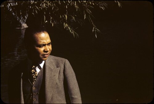 Color photograph of Countee Cullen in Central Park. Cullen stands to the left side of the photo and looks to his left. Cullen is wearing a brown suit.