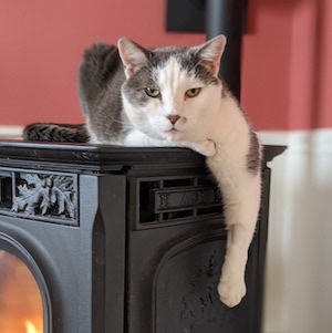 Alva laying on the pellet stove