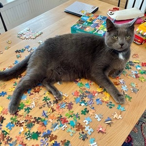Cecil halting work on a puzzle