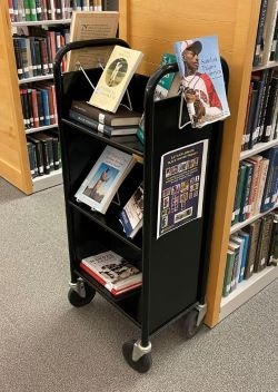 baseball books