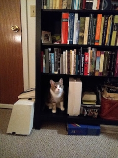 George in a bookcase