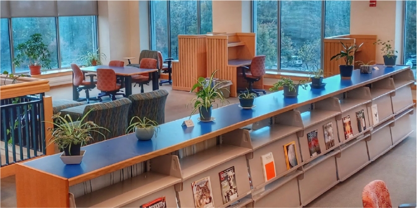 New items shelves, plants, and seating in Armstrong Library