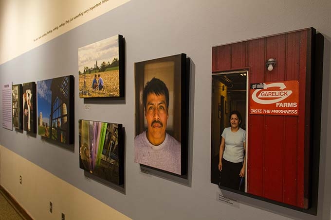 installation view of the Fed Up exhibit