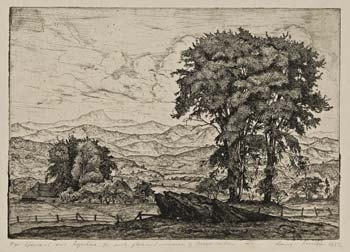 lucioni_vtlandscape_llc.jpg lucioni_vtlandscape_llc.jpg