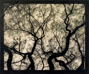 Structure of Thought 19