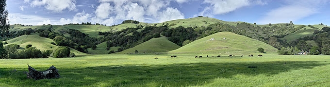 Timothy Case, Marin County