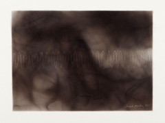 a smoky image including the wavy line of a pulse across the field of view