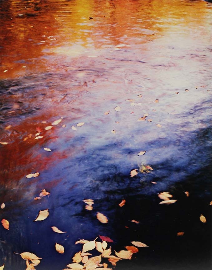 elliot_porter_pond_brook.jpg Eliot Porter, Pool in a brook, Pond Brook, near Whiteface, New Hampshire