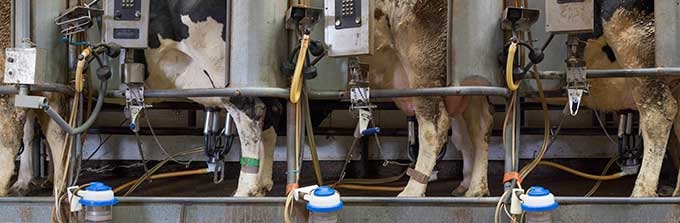 rseltzer_milking_parlor_detail.jpg