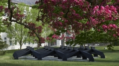 black painted aluminum sculpture formed from interlocking octahedrons, on green grass with pink spring blossoms overhead