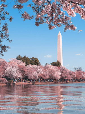 A view of the Lincoln Memorial in Washington DC