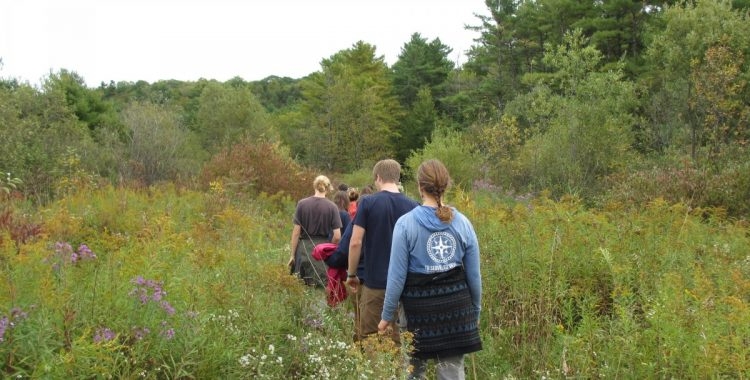 Students walk through meadow 