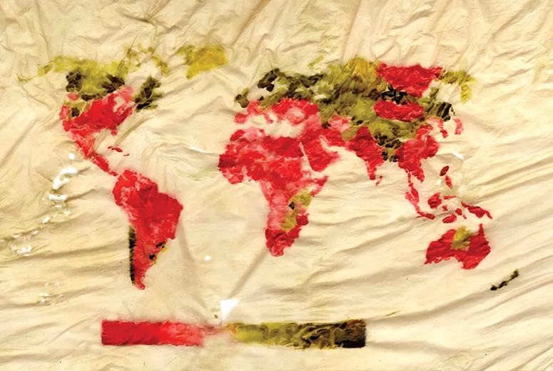 Map of the world made from seaweed. Some countries are painted red while others are painted green.