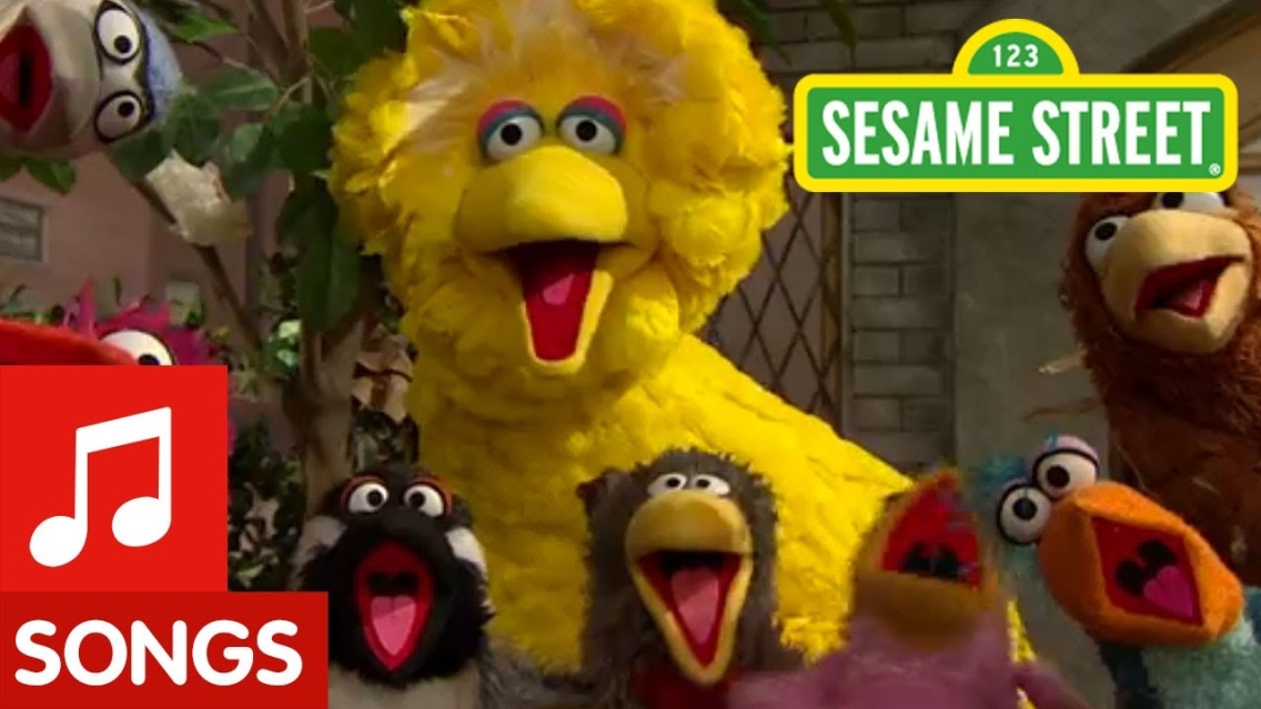 Big Bird | Middlebury Offices and Services Big Bird | Middlebury Offices and Services
