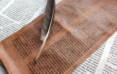 A gray and white feather pen rests on a brown piece of parchment paper covered in writing, which in turn sits on the white and black pages of a book.