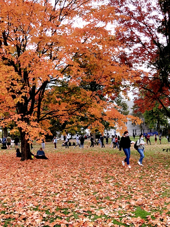 Students outside enjoying a fall day.