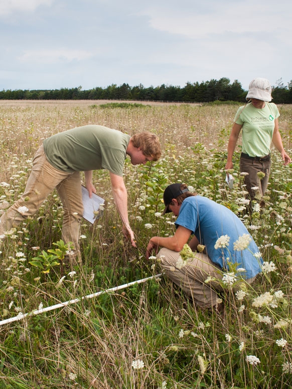 Environmental Studies students at work in the field.