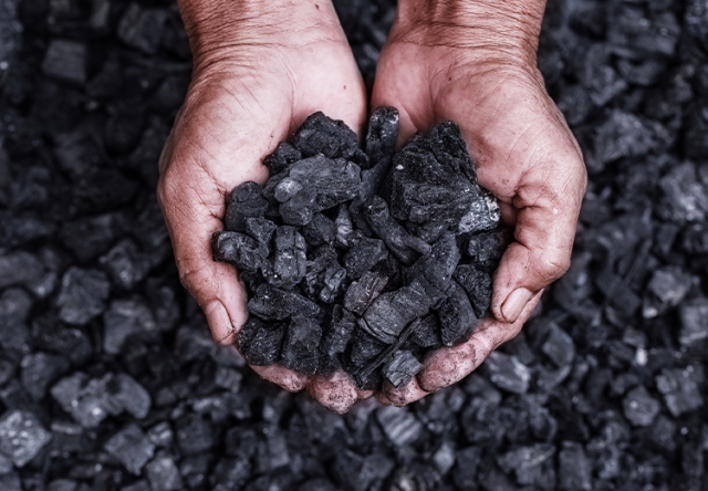 Hands holding small pebbles of coal