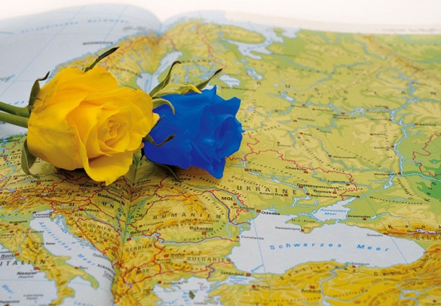 Blue and Yellow roses laying across a map
