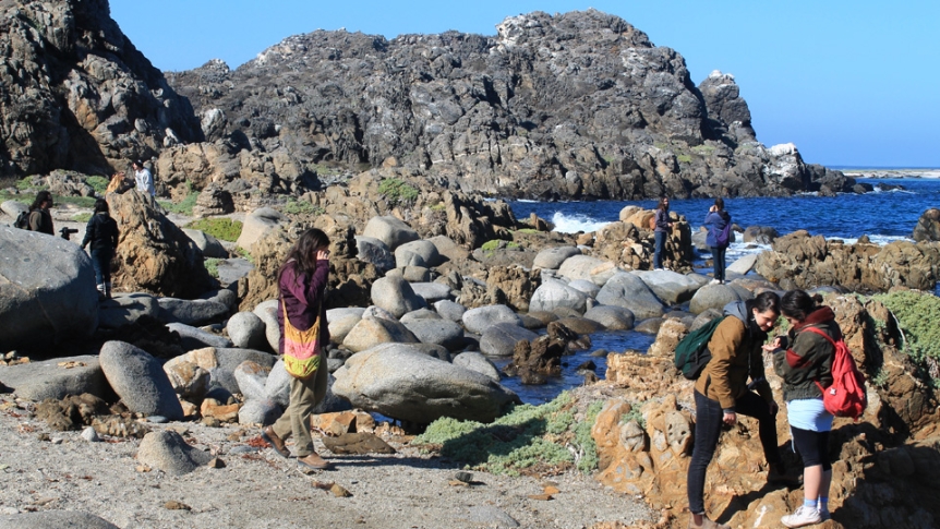 Students standing on rocky ocean shoreline.