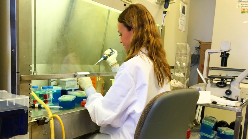 A student intern prepares samples at a medical lab.