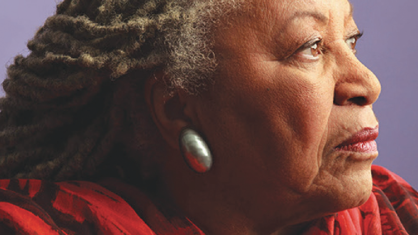 Toni Morrison's The Origins of Others book cover