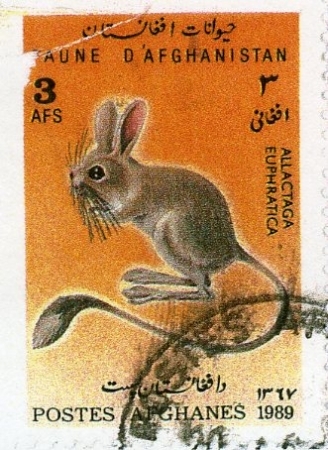 stamp from afghanistan