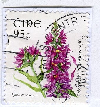 stamp from ireland