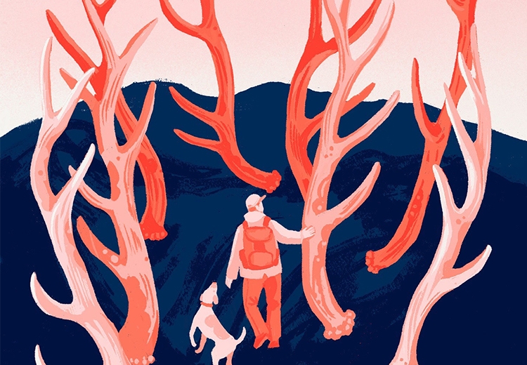 Illustration of a person and their dog walking through a forest of antlers