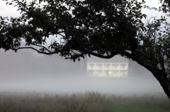 mist on the Bread Loaf campus