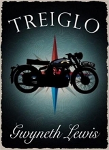 Treiglo book cover