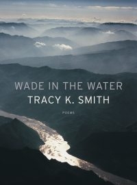 Wade in the Water Book Cover