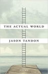 Book Jacket for The Actual World by Jason Tandon