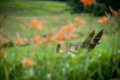 Adirondack chairs and tiger lilies