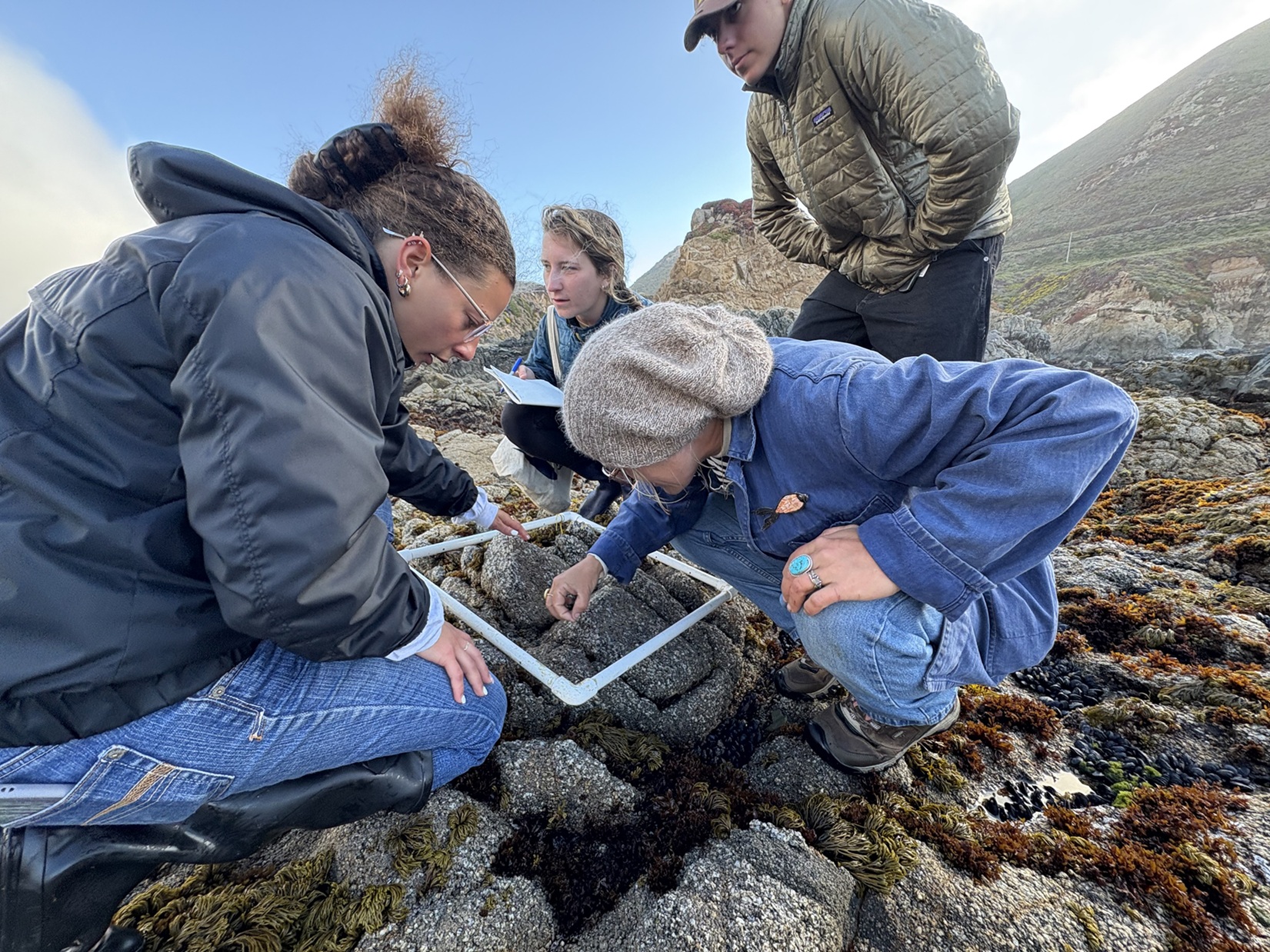 Students looking carefully at plant matter on a rocky surface