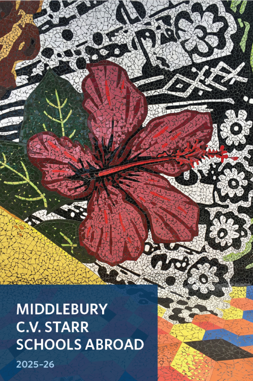Mosaic featuring a hibiscus flower