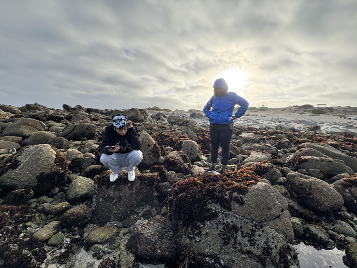 Students stand on the rocks observing plant life with the sun behind them
