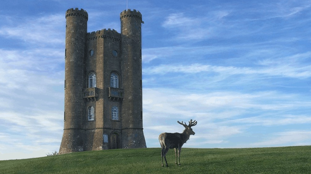 A stag pauses for a moment in front of Broadway Tower, an old folly located in Worcestershire.