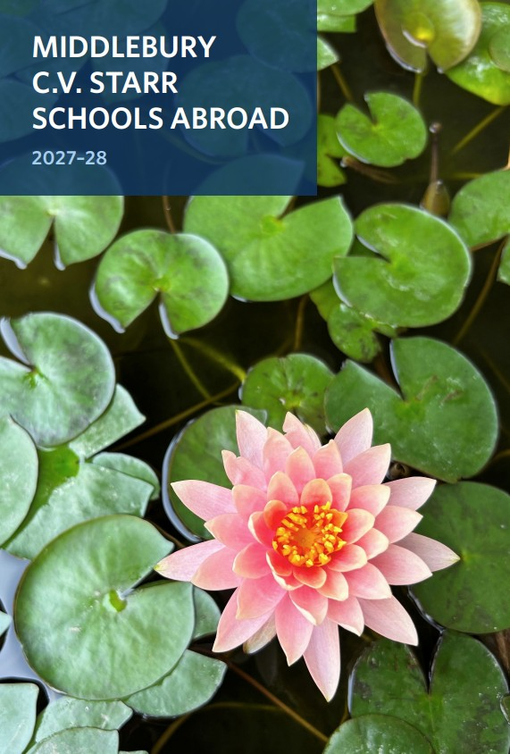 Photo of a pink water lily