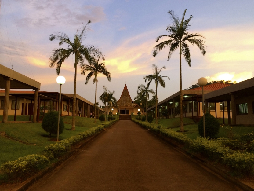 The host university campus with a sunset 