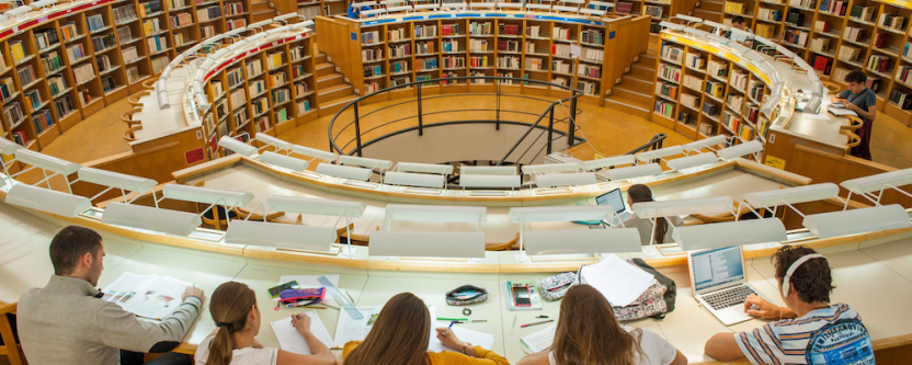 Students studying at the library.