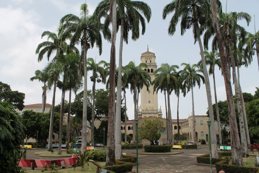 Benches on campus with a clock tower in the distance