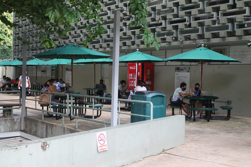 Students sitting outside under umbrellas