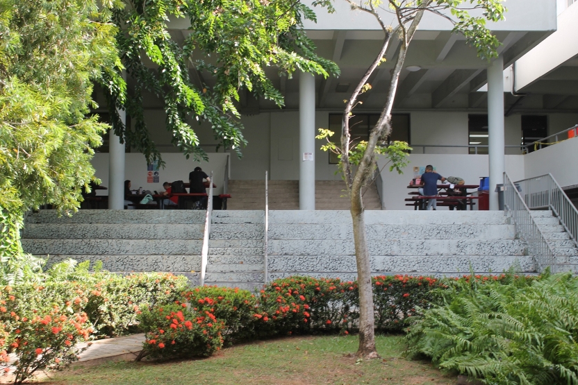 Students working outside on campus