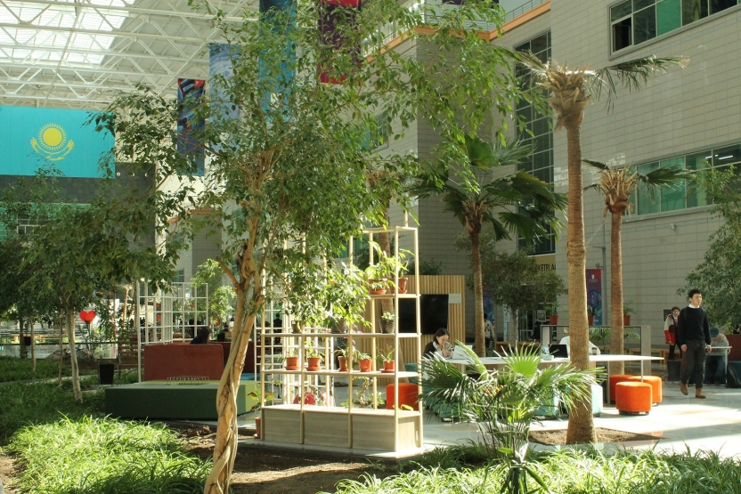 Trees and a sitting space inside a university building