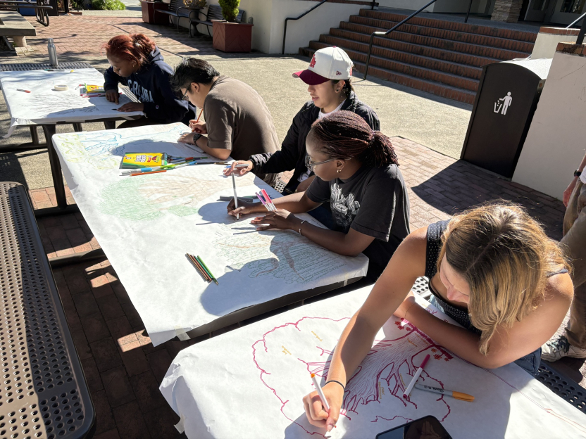 Students draw posters with trees on them